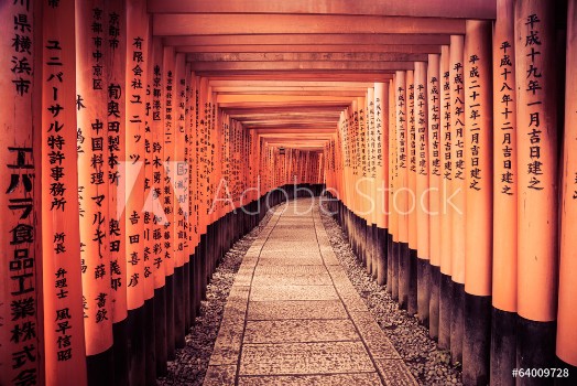 Bild på Leading Line To The Kyoto Gates